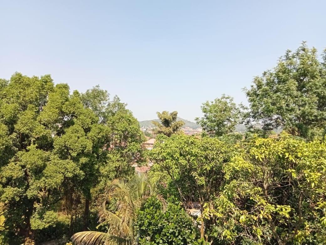 Eshwarkrupa Homestay Madikeri Extérieur photo